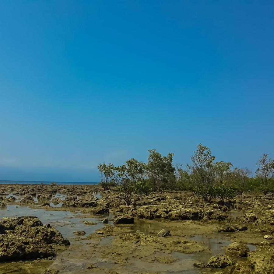 Seasta Beach Resort Baler Luaran gambar